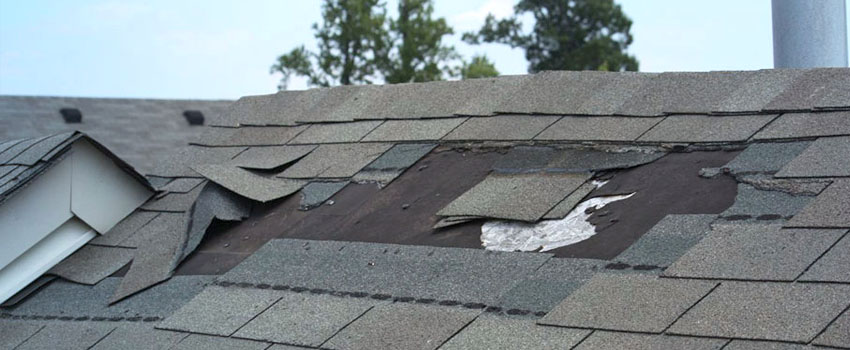 Roofing Repair Contractor