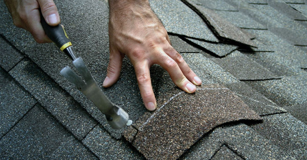 Shingle Roofing Material